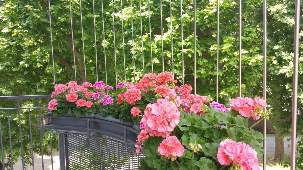 B&B Leterrazze Boutique Hotel - Torino 奇列 客房 照片